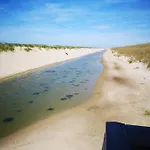 Nieuw